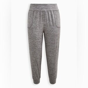 Torrid Gray Women's Jogger Pants